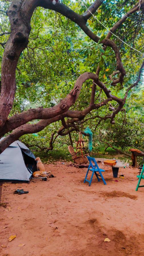 Peace Garden Hostel Όρβιλ Εξωτερικό φωτογραφία