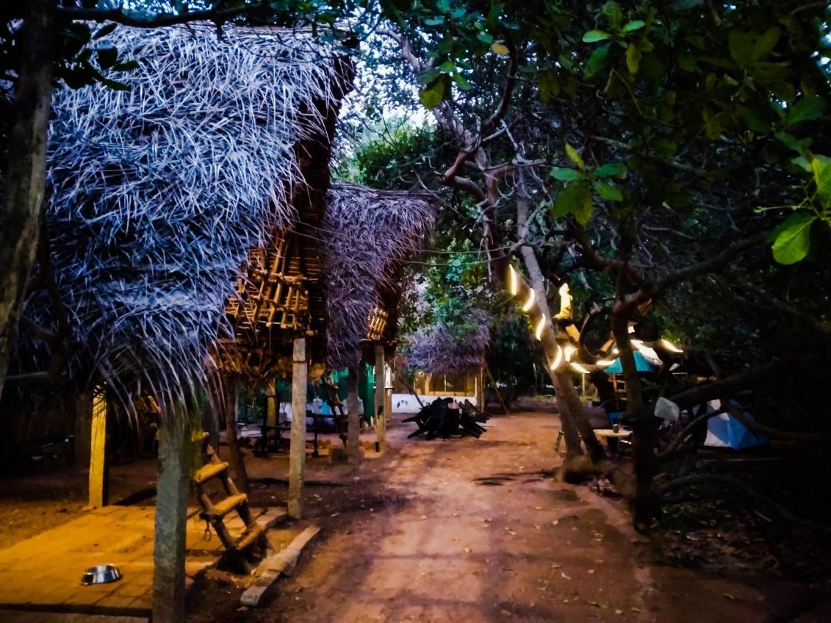 Peace Garden Hostel Όρβιλ Εξωτερικό φωτογραφία