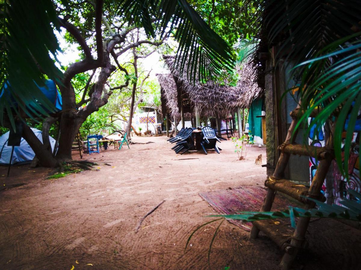 Peace Garden Hostel Όρβιλ Εξωτερικό φωτογραφία