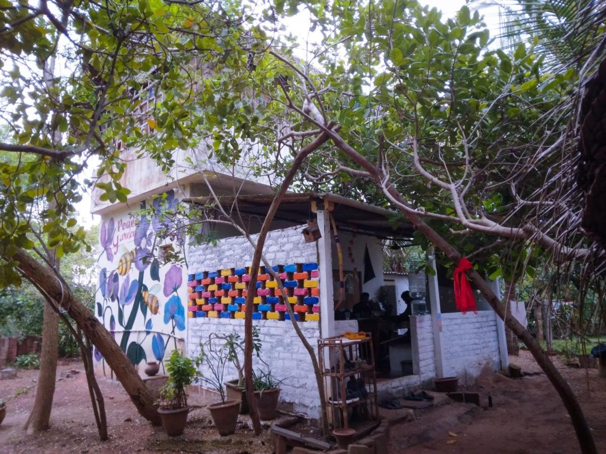 Peace Garden Hostel Όρβιλ Εξωτερικό φωτογραφία