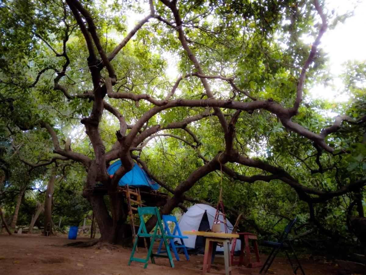 Peace Garden Hostel Όρβιλ Εξωτερικό φωτογραφία