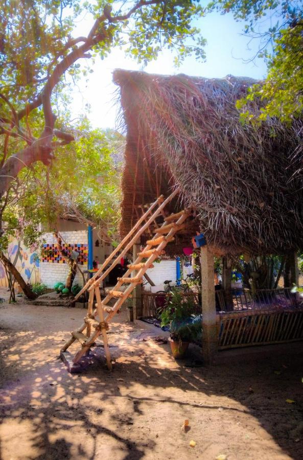 Peace Garden Hostel Όρβιλ Εξωτερικό φωτογραφία