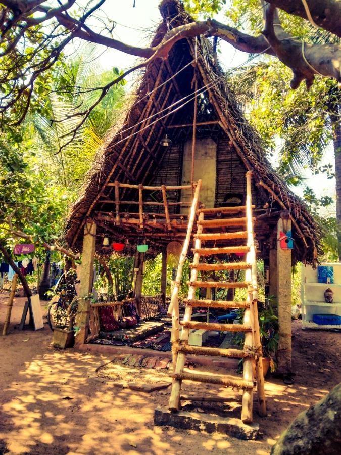 Peace Garden Hostel Όρβιλ Εξωτερικό φωτογραφία