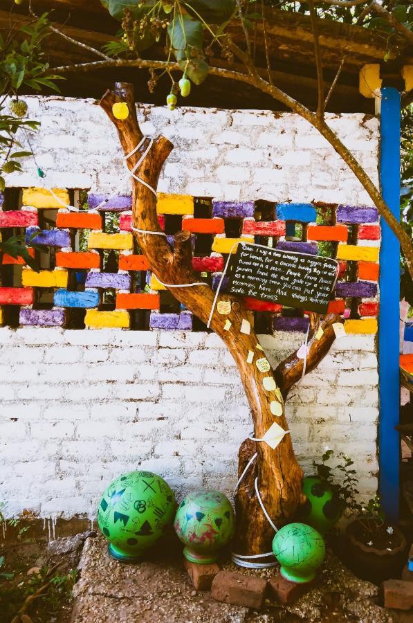 Peace Garden Hostel Όρβιλ Εξωτερικό φωτογραφία