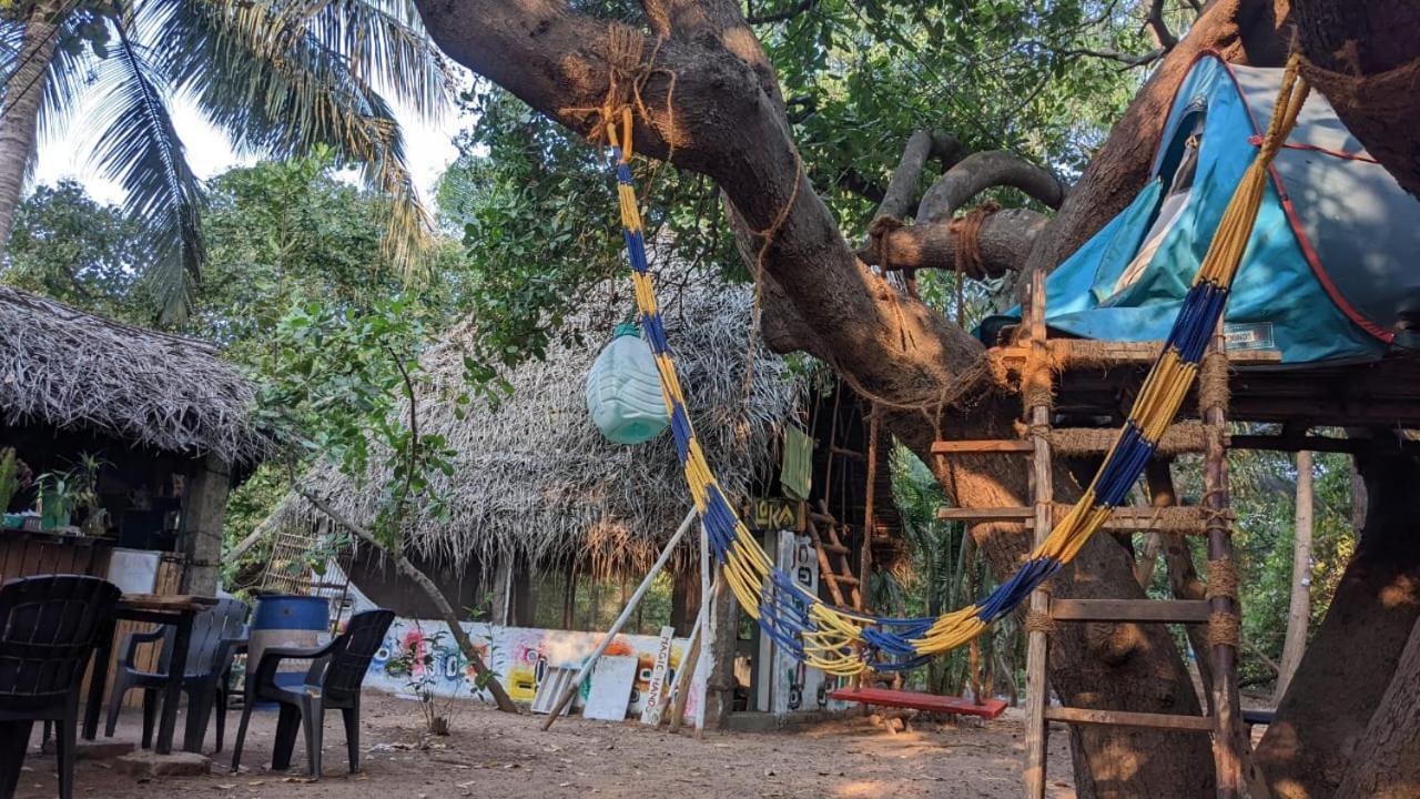 Peace Garden Hostel Όρβιλ Εξωτερικό φωτογραφία