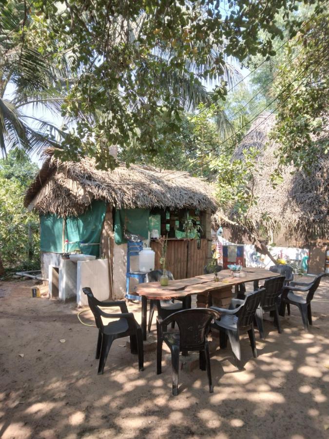 Peace Garden Hostel Όρβιλ Εξωτερικό φωτογραφία