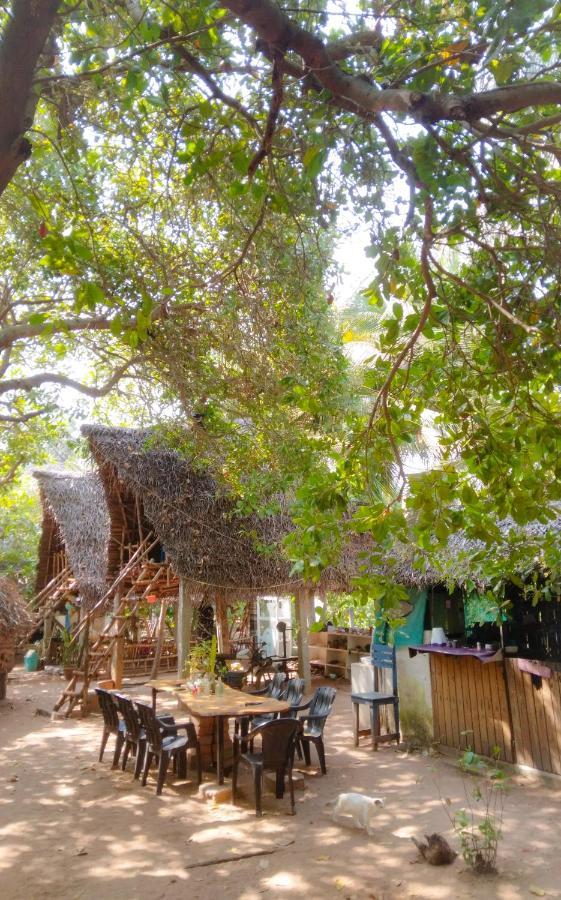 Peace Garden Hostel Όρβιλ Εξωτερικό φωτογραφία