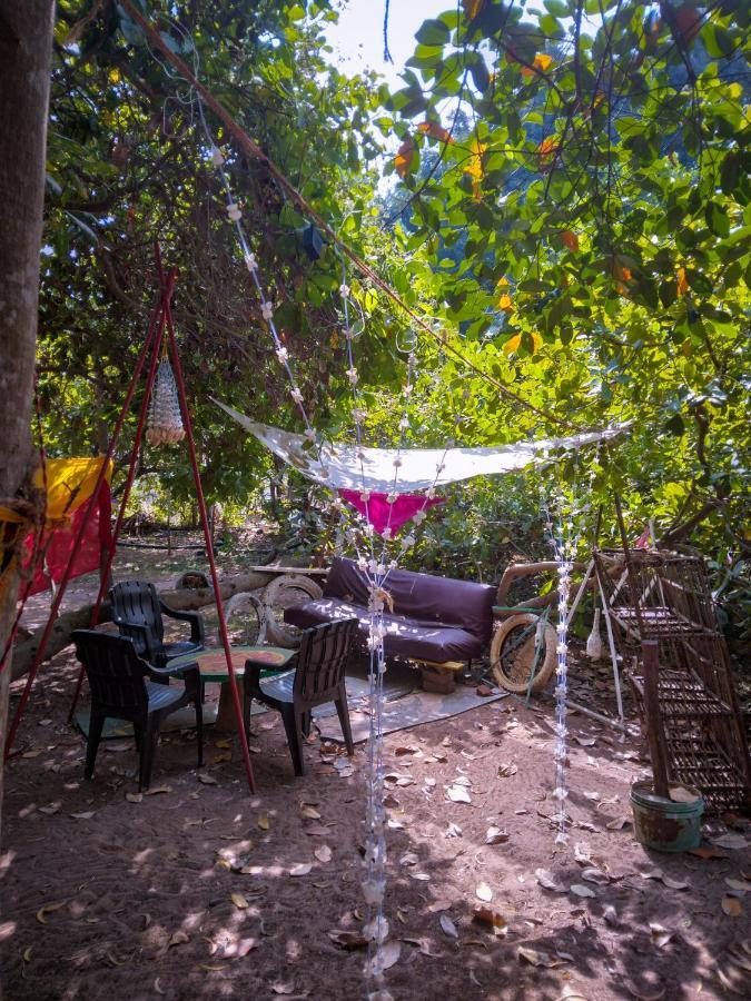 Peace Garden Hostel Όρβιλ Εξωτερικό φωτογραφία