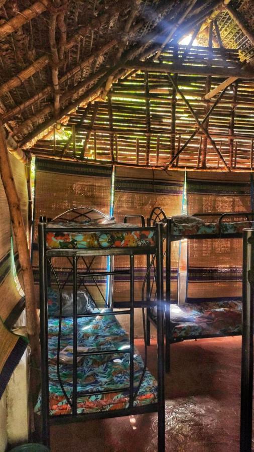 Peace Garden Hostel Όρβιλ Εξωτερικό φωτογραφία