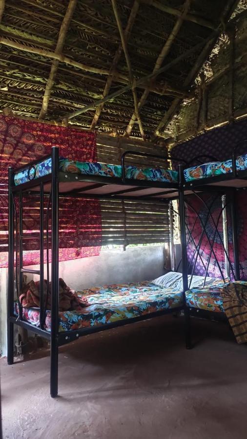 Peace Garden Hostel Όρβιλ Εξωτερικό φωτογραφία